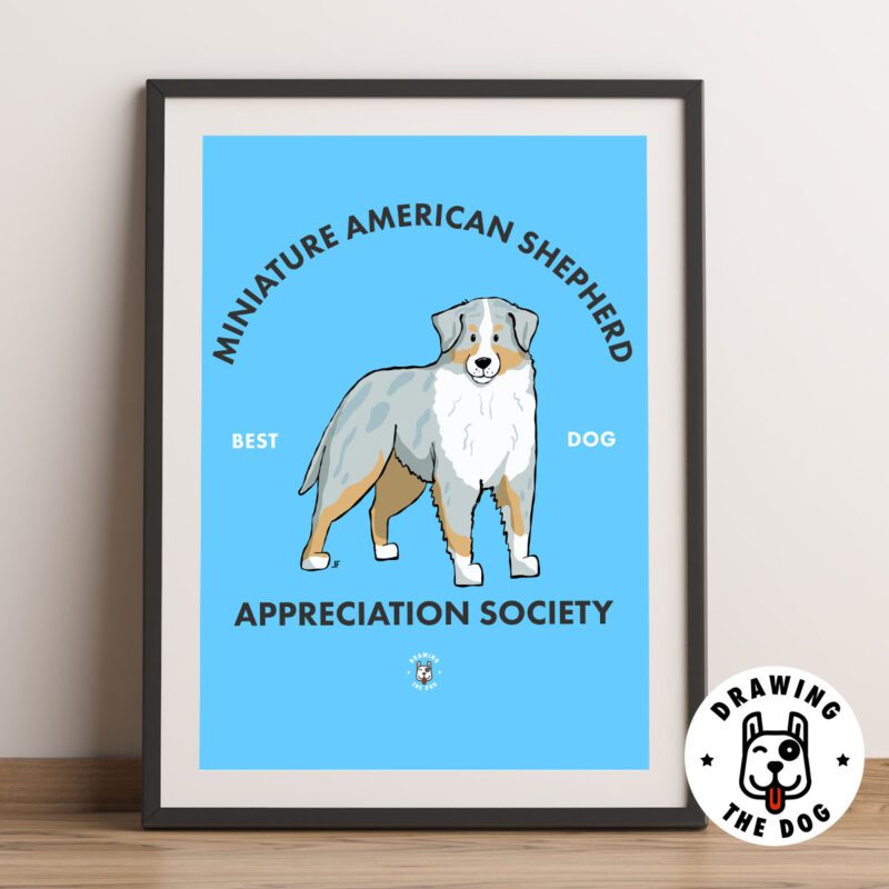 Mini American Shepherd Framed