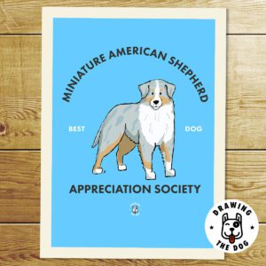 Mini American Shepherd Art Print