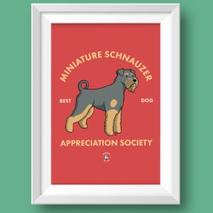 Miniature Schnauzer Featured