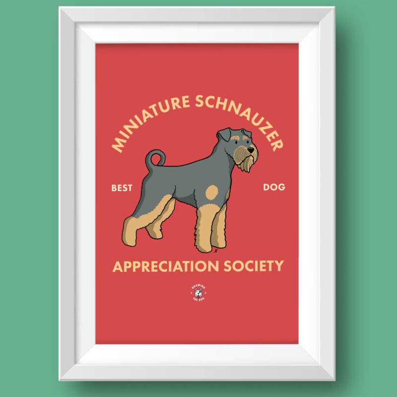 Miniature Schnauzer Featured