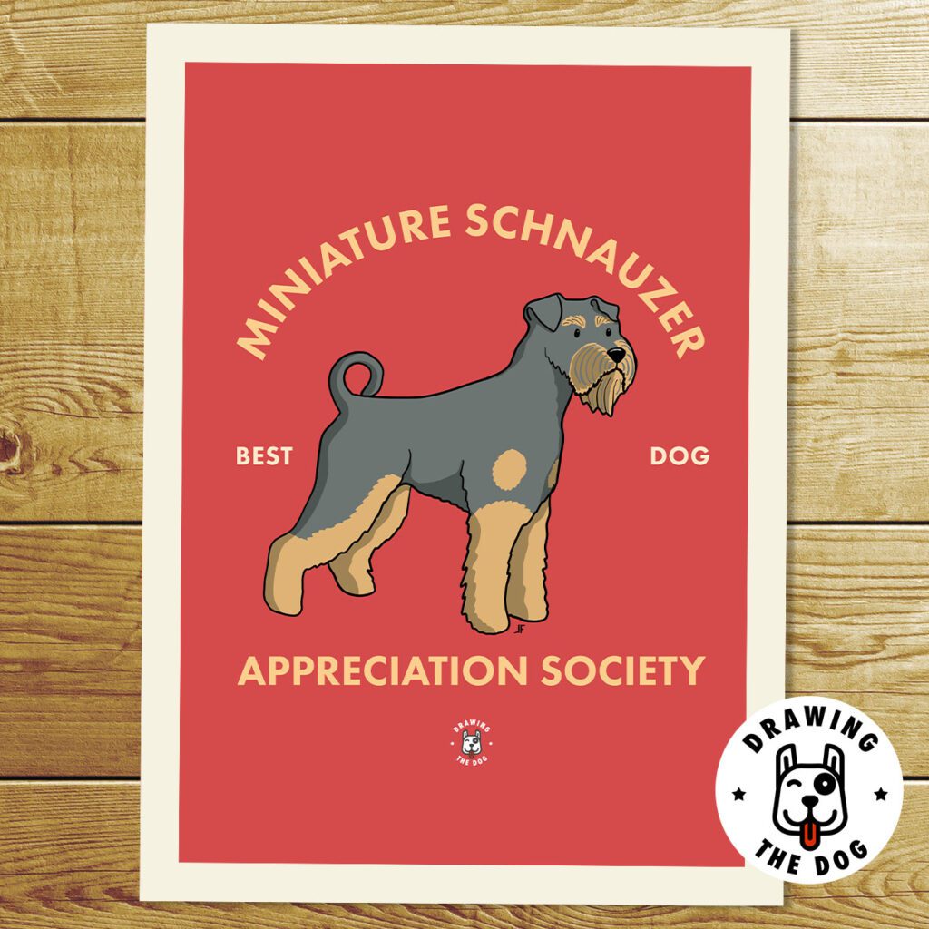 Miniature Schnauzer Print