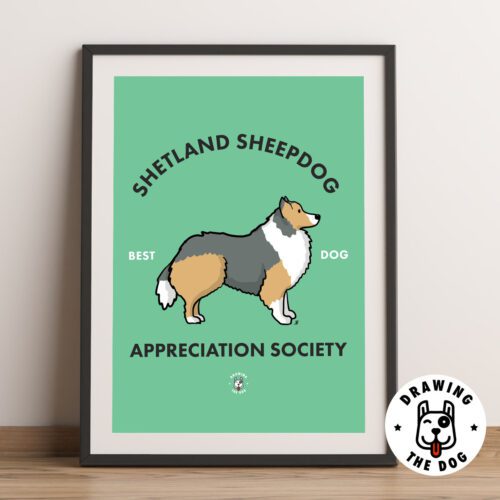 Shetland Sheepdog Framed