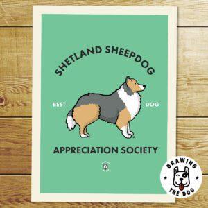 Shetland Sheepdog Print
