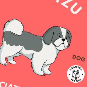 Shih Tzu Wall Art Closeup