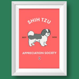 Shih Tzu Art Featured