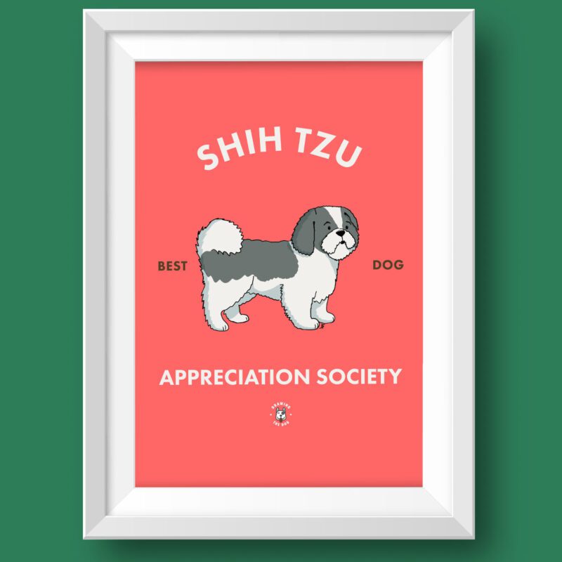 Shih Tzu Art Featured