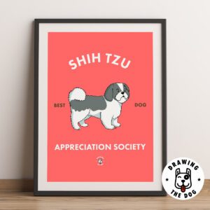 Shih Tzu Framed