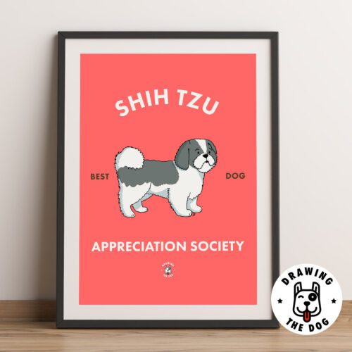 Shih Tzu Framed