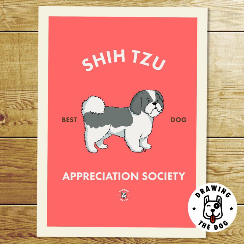Shih Tzu Art Print
