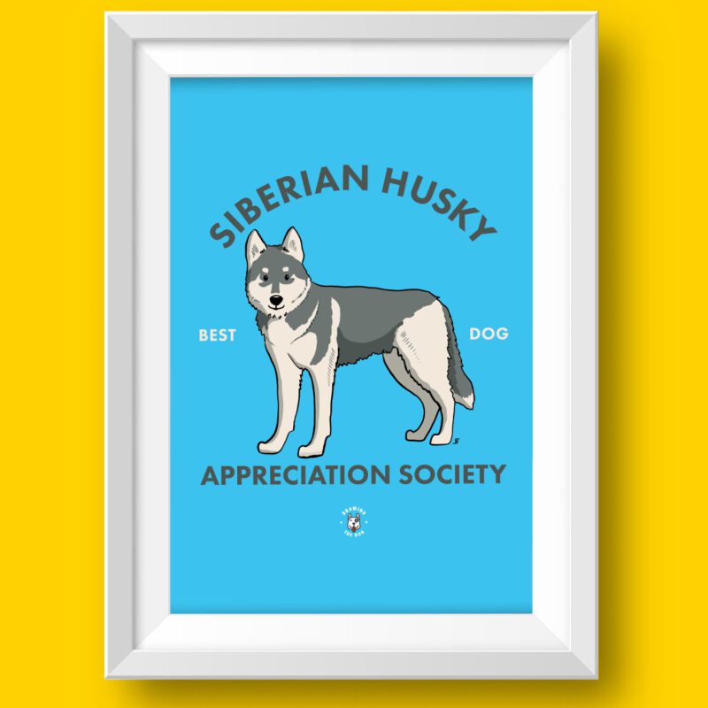 Siberian Husky Featured