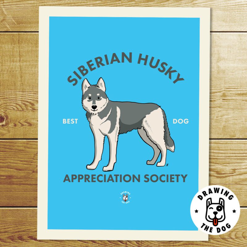 Siberian Husky Art Print