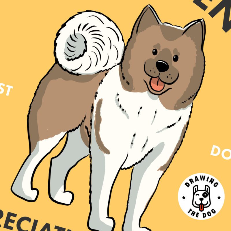 Akita Ken Wall Art Closeup