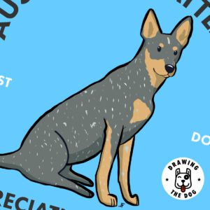 Australian Cattle Dog AS Closeup