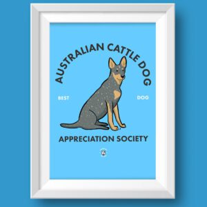 Australian Cattle Dog AS Featured