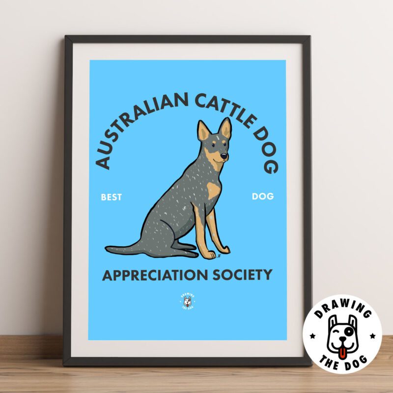 Australian Cattle Dog AS Framed