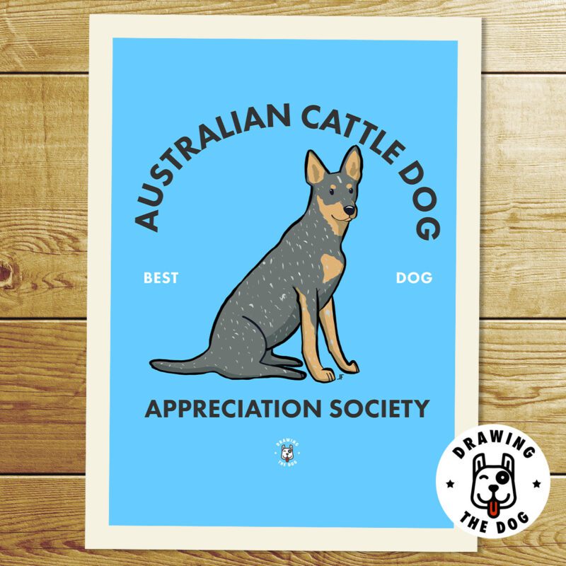 Australian Cattle Dog AS Print