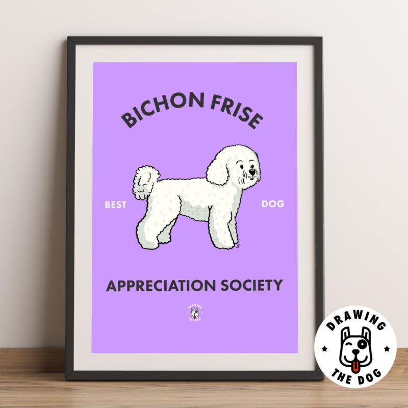 Bichon Frise AS Framed