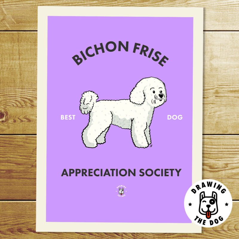 Bichon Frise AS Print