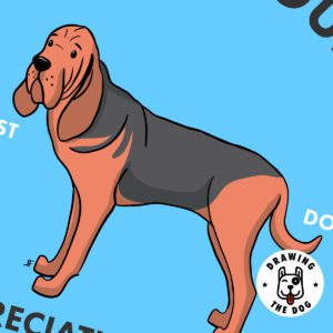 Bloodhound AS Closeup