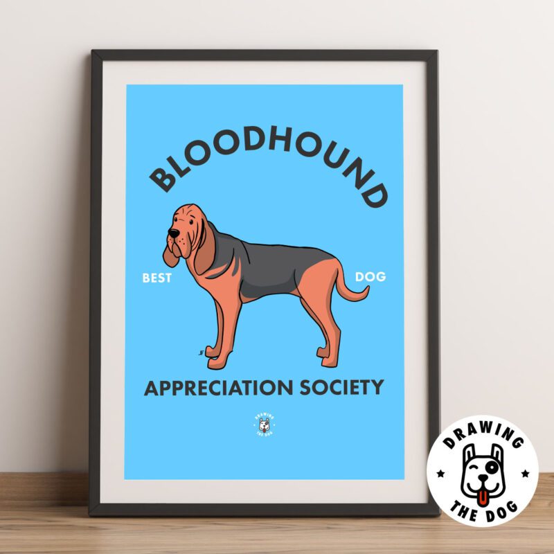 Bloodhound AS Framed