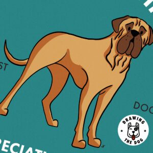 Bull Mastiff Wall Art Print Closeup