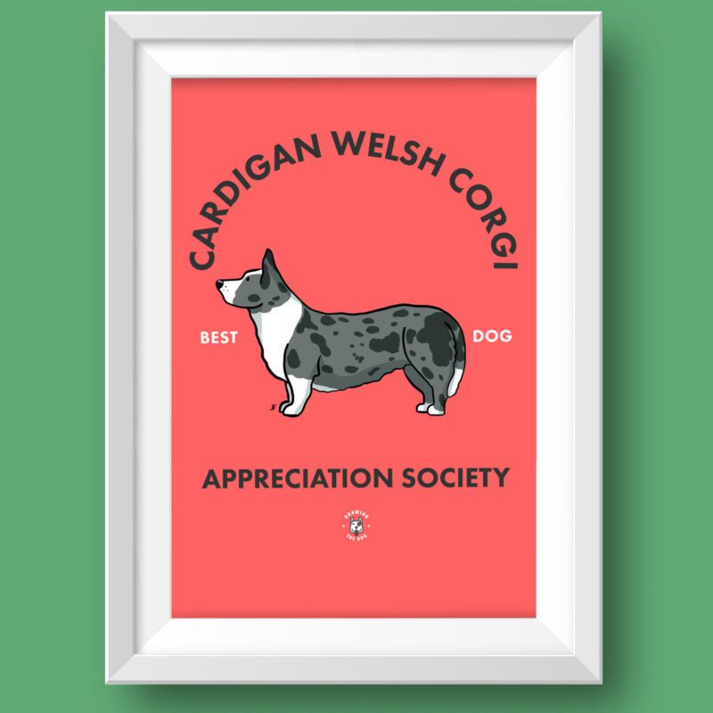 Cardigan Welsh Corgi AS Featured