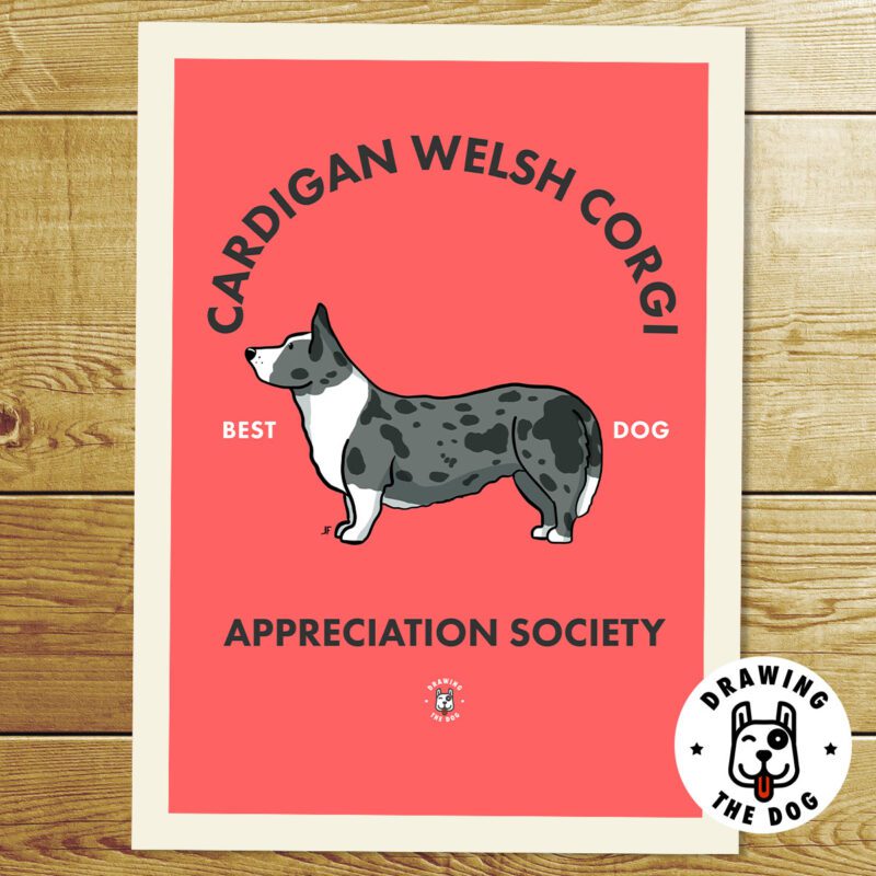 Cardigan Welsh Corgi AS Print