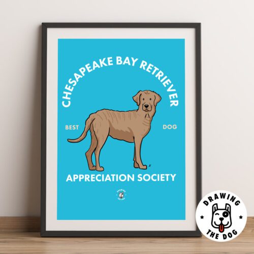 Chesapeake Bay Retriever AS Framed