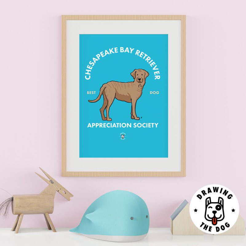 Chesapeake Bay Retriever AS Kids Wall Decor