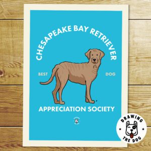 Chesapeake Bay Retriever AS Print