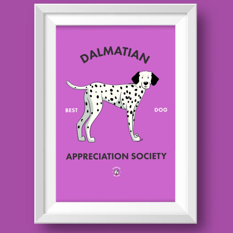 Dalmation AS Featured