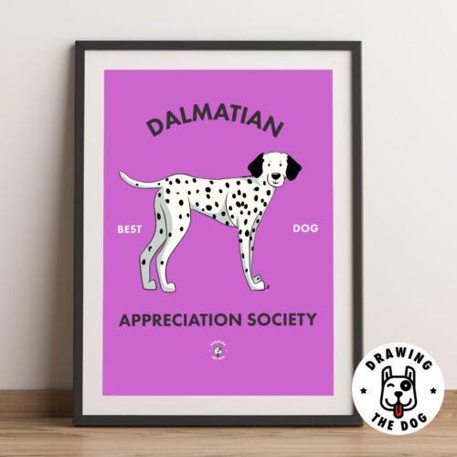 Dalmation AS Framed