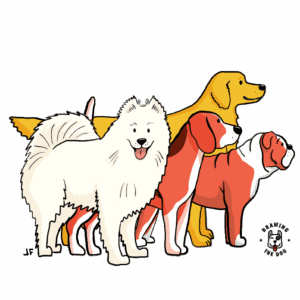 Dog Breed Groups Illustration Drawing The Dog