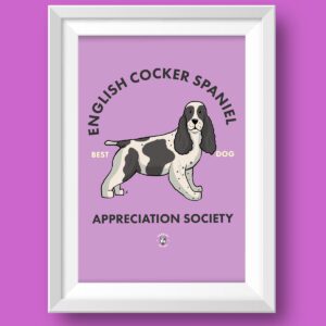 English Cocker Spaniel AS Featured