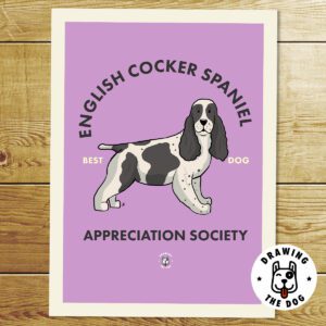 English Cocker Spaniel AS Print
