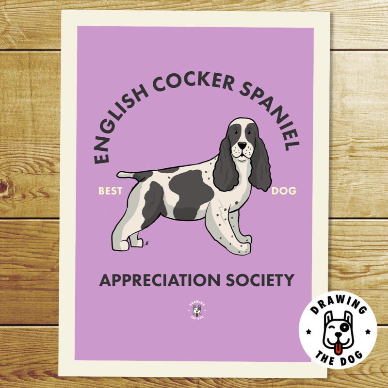 English Cocker Spaniel AS Print
