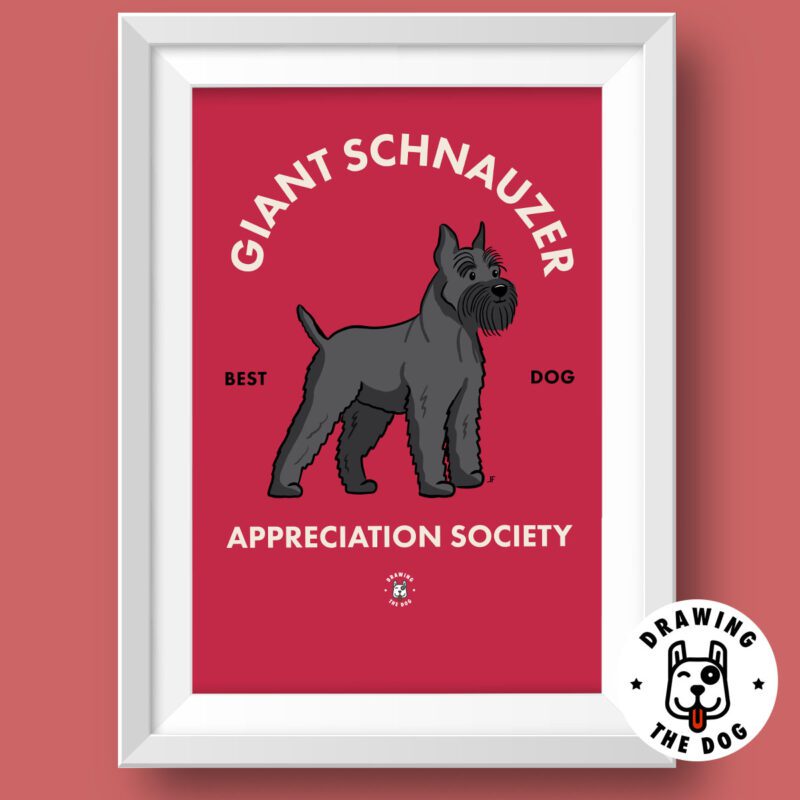 Giant Schnauzer AS Featured