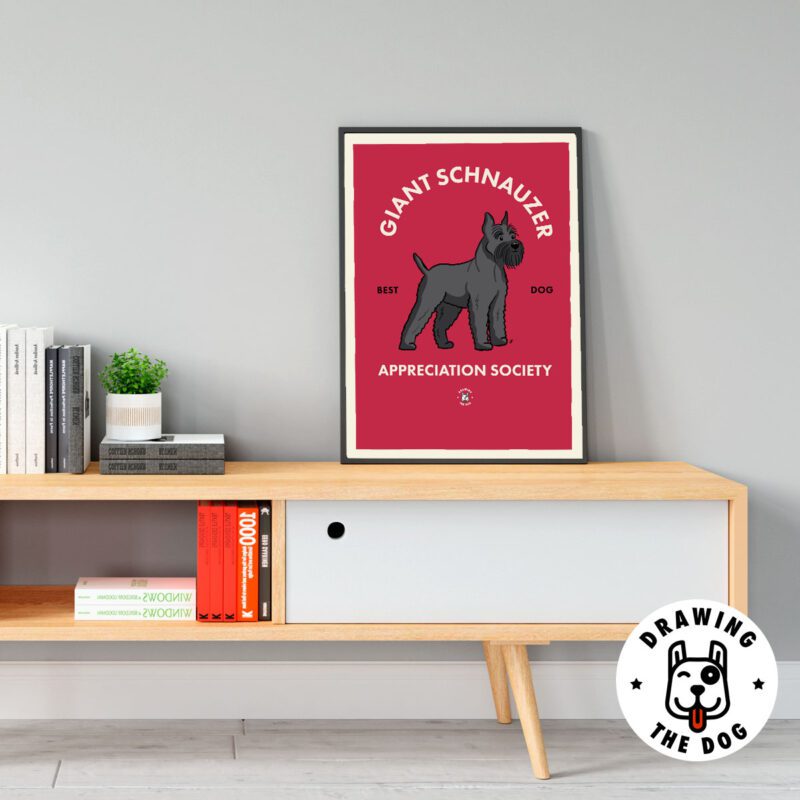 Giant Schnauzer AS Living Room Decor