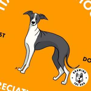 Italian Greyhound Wall Art Print Closeup