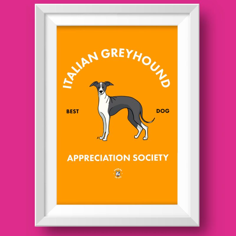 Italian Greyhound Wall Art Print Featured