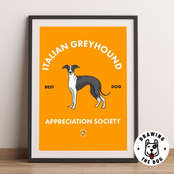 Italian Greyhound Wall Art Print Italian Greyhound Wall Art Print