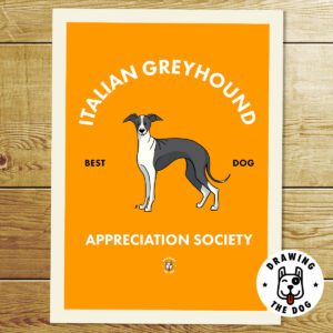 Italian Greyhound Wall Art Print