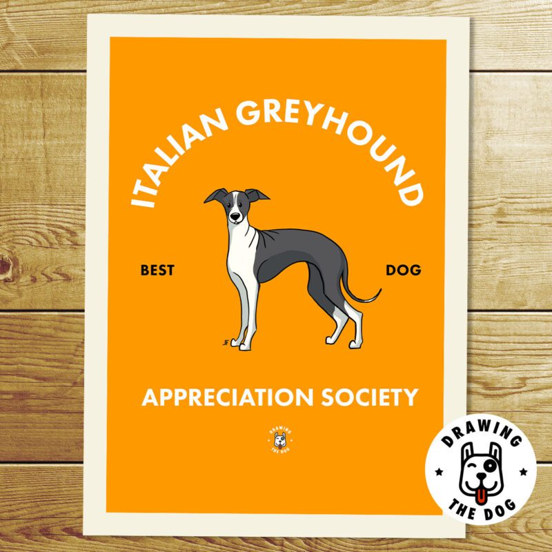Italian Greyhound Wall Art Print