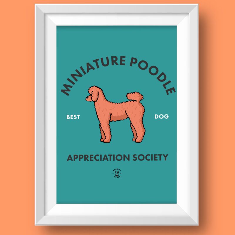 Miniature Poodle Wall Art Featured