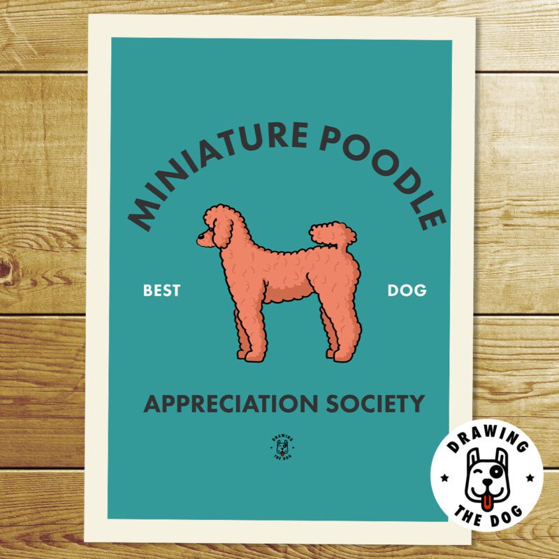 Miniature Poodle Wall Art Print