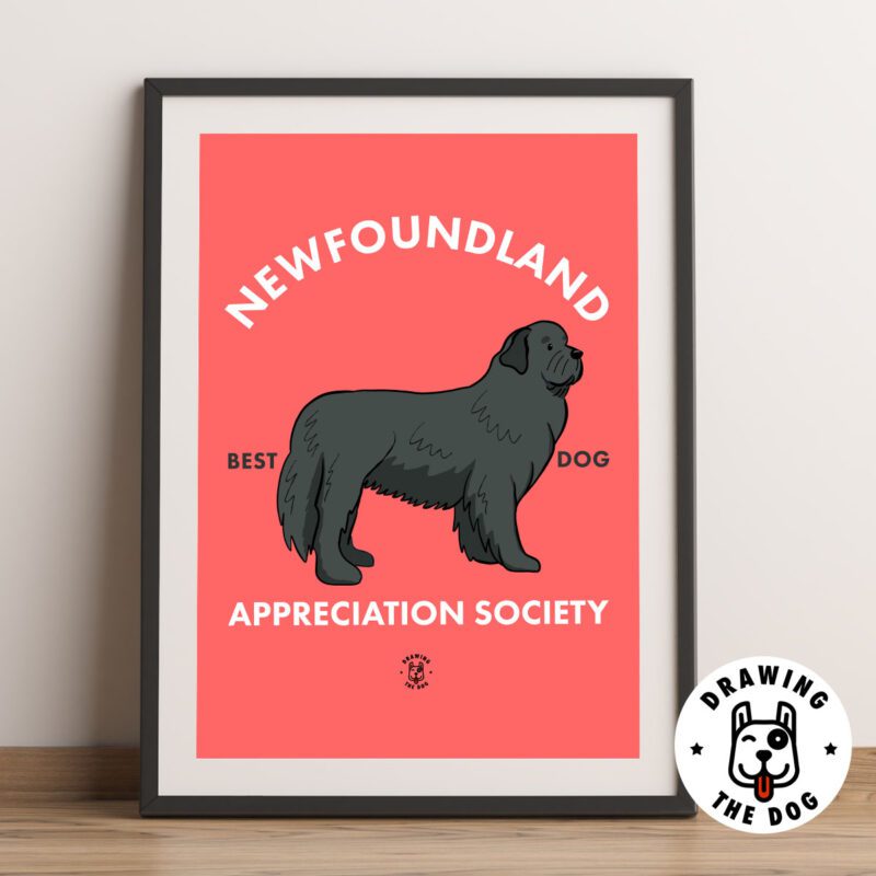 Newfoundland AS Framed