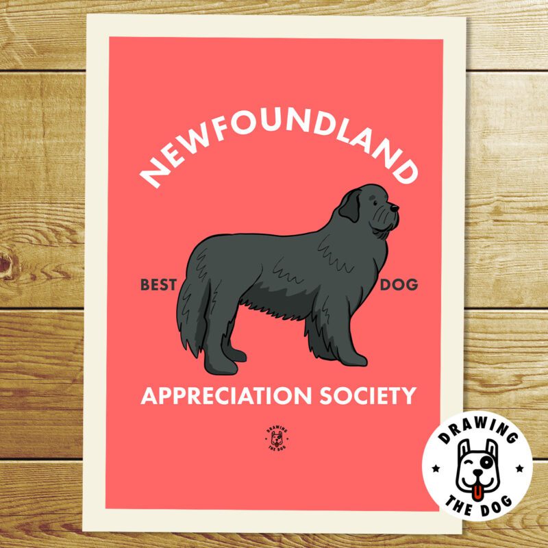 Newfoundland AS Print