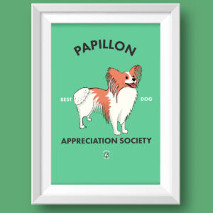 Papillon AS Featured
