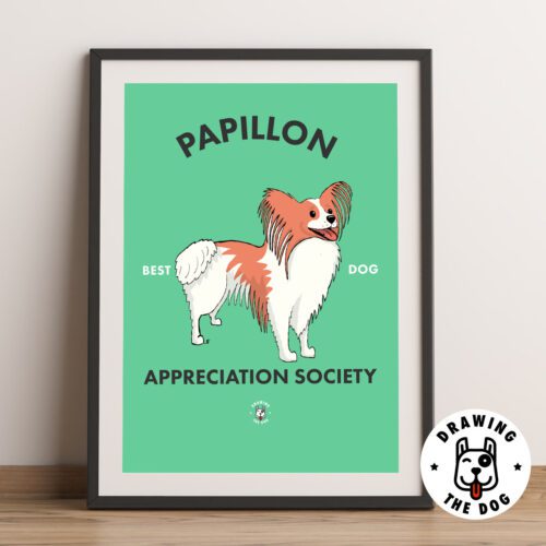 Papillon AS Framed