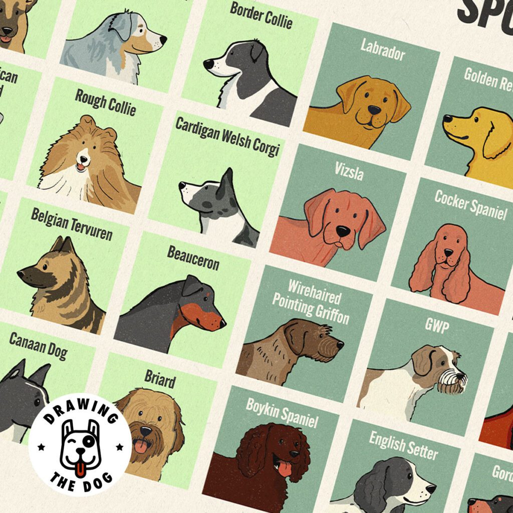 Periodic Table of Dogs Closeup - illustrated by Drawing The Dog